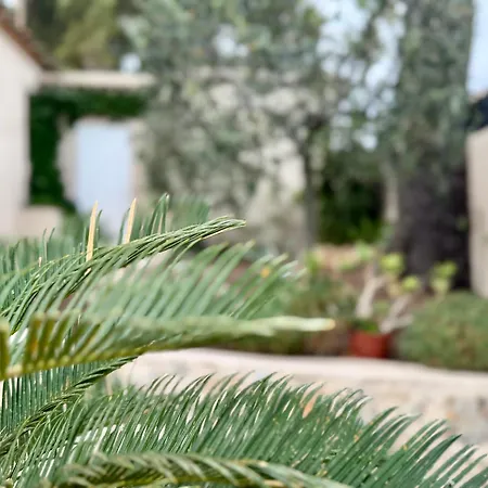 Villa Tino Scls - Piscine Privee, Clim, Wifi